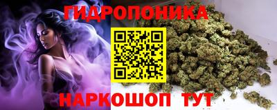 apvp Рыбинск