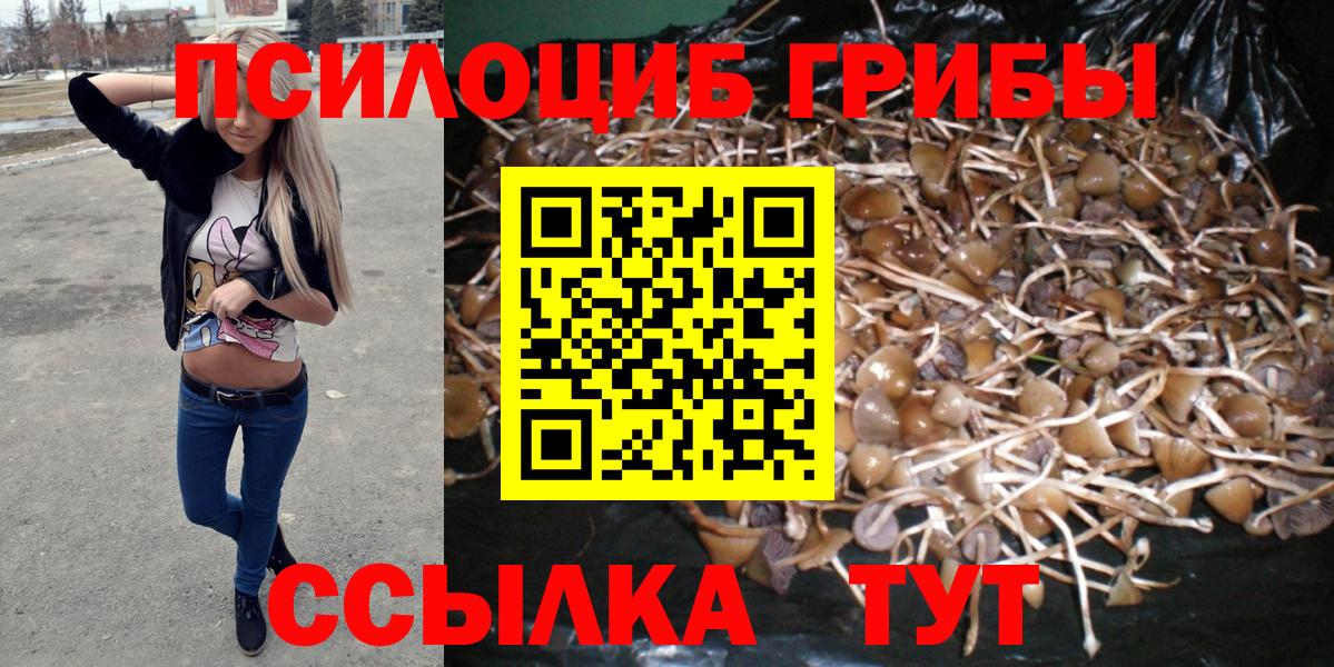 Галлюциногенные грибы мухоморы  Галлюциногенные грибы прущие грибы  Вход с VPN  Симферополь 